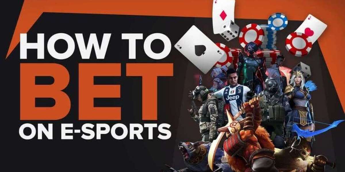 Rolling the Dice: Your Inside Scoop on the Ultimate Gambling Experience!