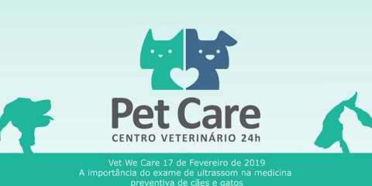 O Que Você Precisa Saber Sobre o Exame de Glicemia em Animais e Sua Importância na Saúde Pet