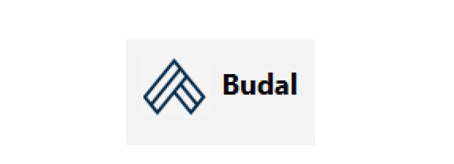 budal info Cover Image