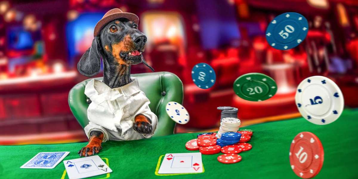 Discover the Greatest On Line Casino Websites with Aron's Blog