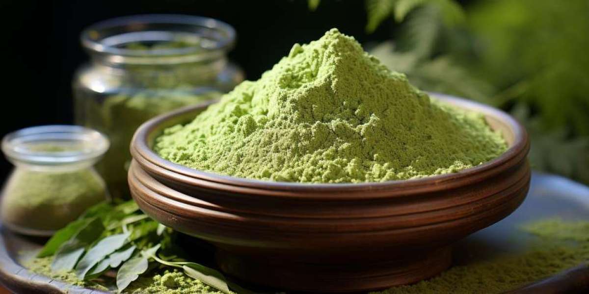 Exploring the Expanding Market: Moringa Powder Manufacturer in India Opportunities and Insights