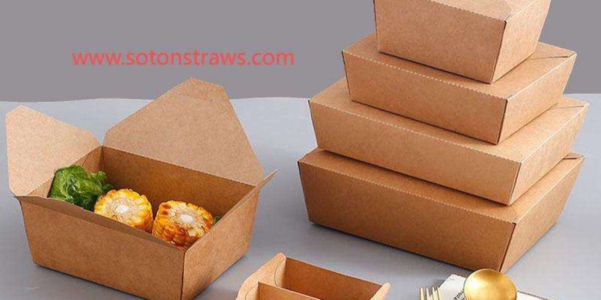 Soton’s Ecosystem Strategy: Rethinking Disposable Kraft Box Lifecycles
