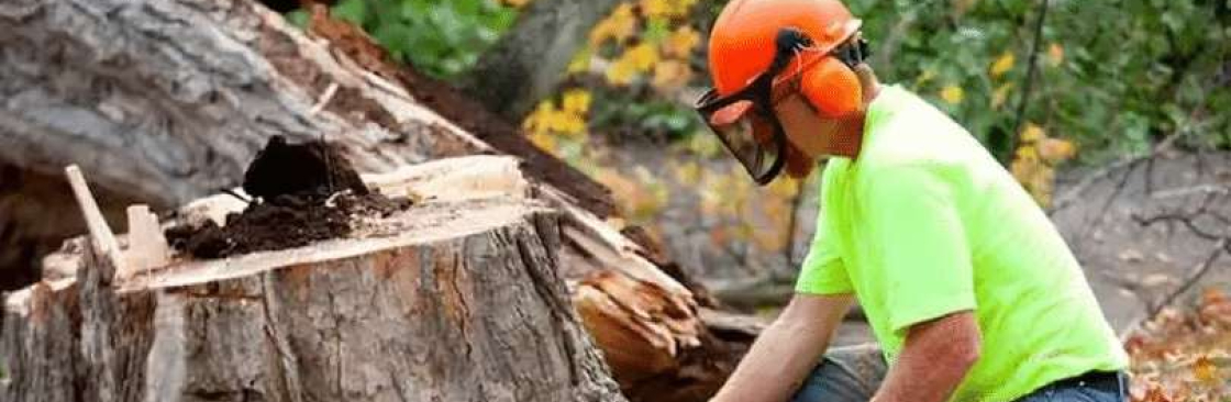 Tree Removal Cover Image