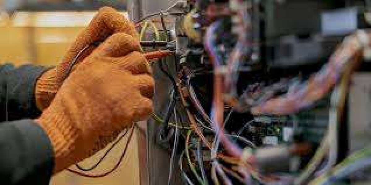 Article Picture