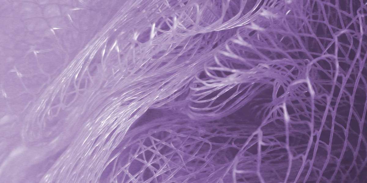 Hydrolyzed Collagen: Boosting Skin Health and Beyond