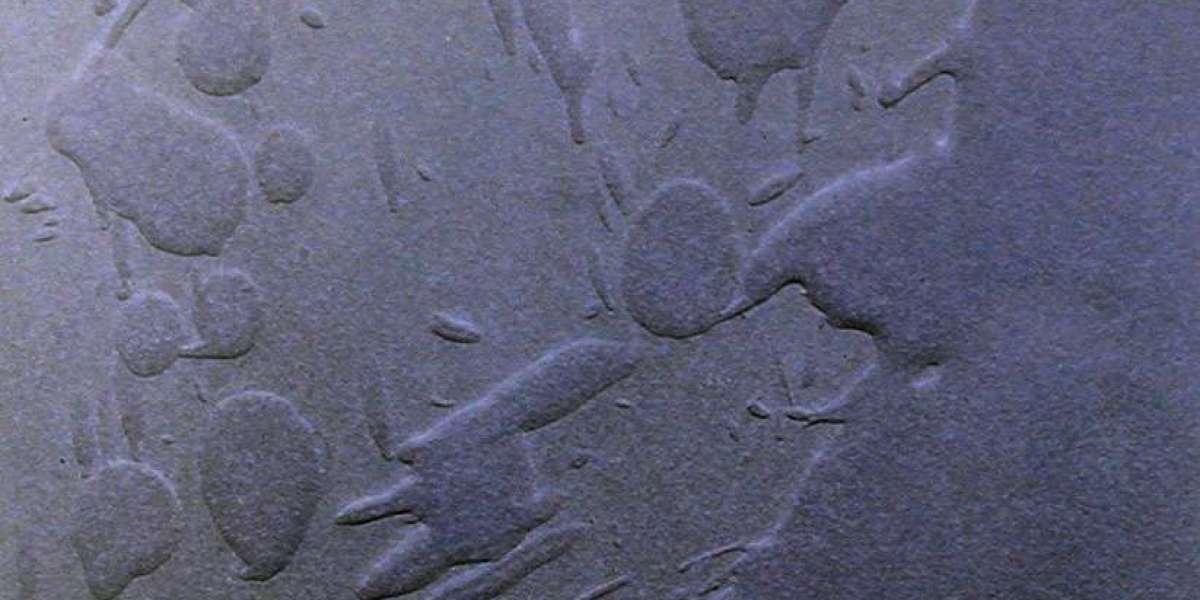 Article Picture
