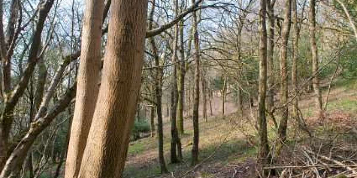 Wachstumshormon – Growth Hormone (GH) an der Deutschen Sporthochschule Köln