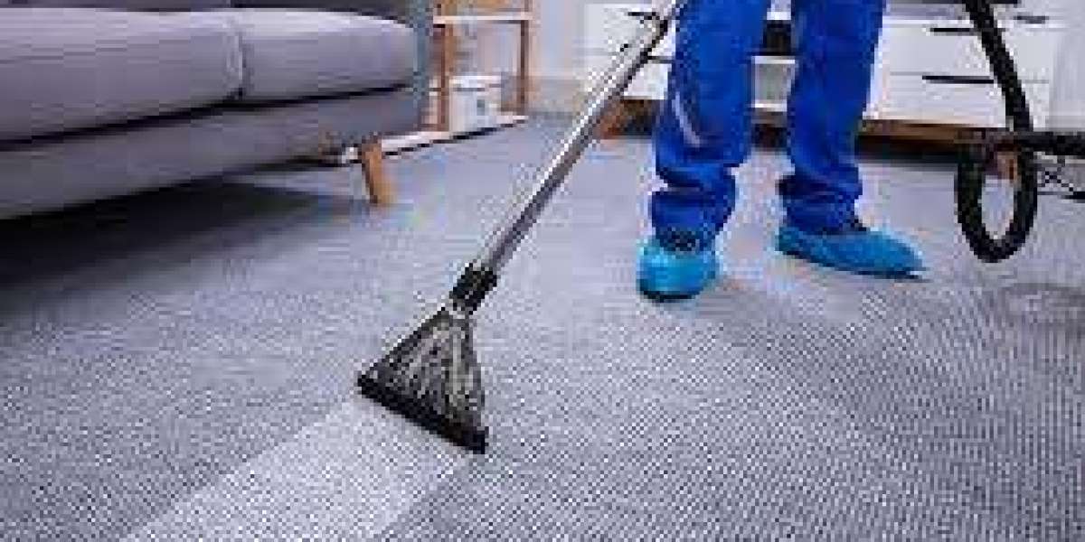 Protect Families with Carpet Cleaning Services
