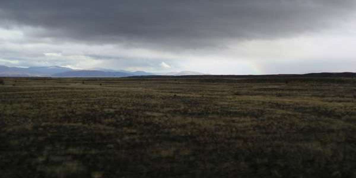 Things to do and places to visit in Casino, New South Wales