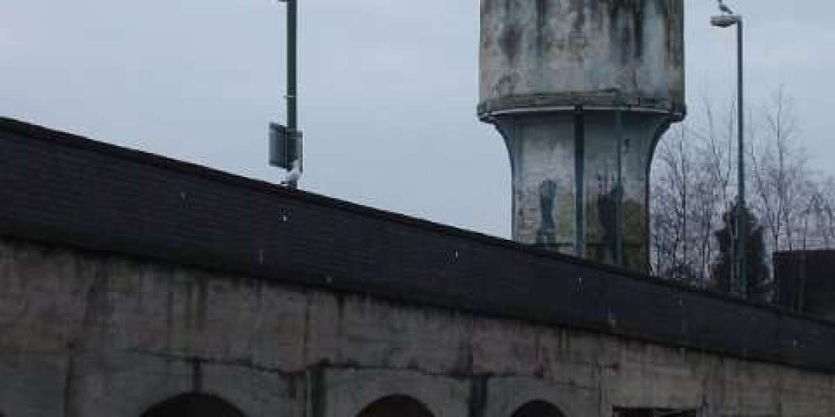 Bonuses and Online Games 2025