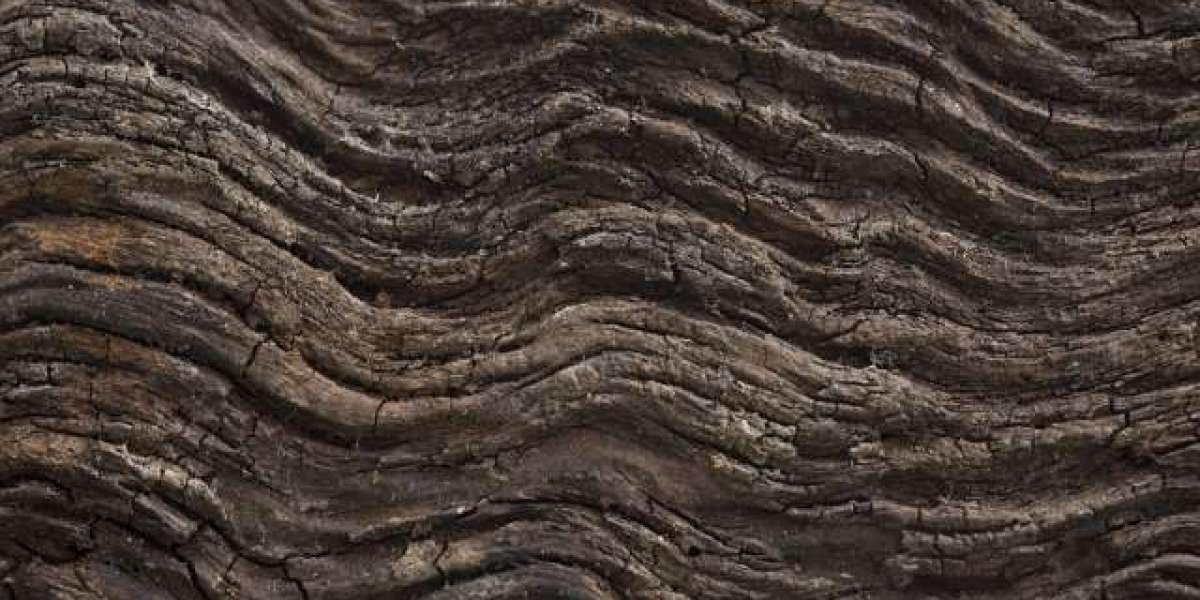 Online Pokies, Fast Cashouts, Real AUD Play