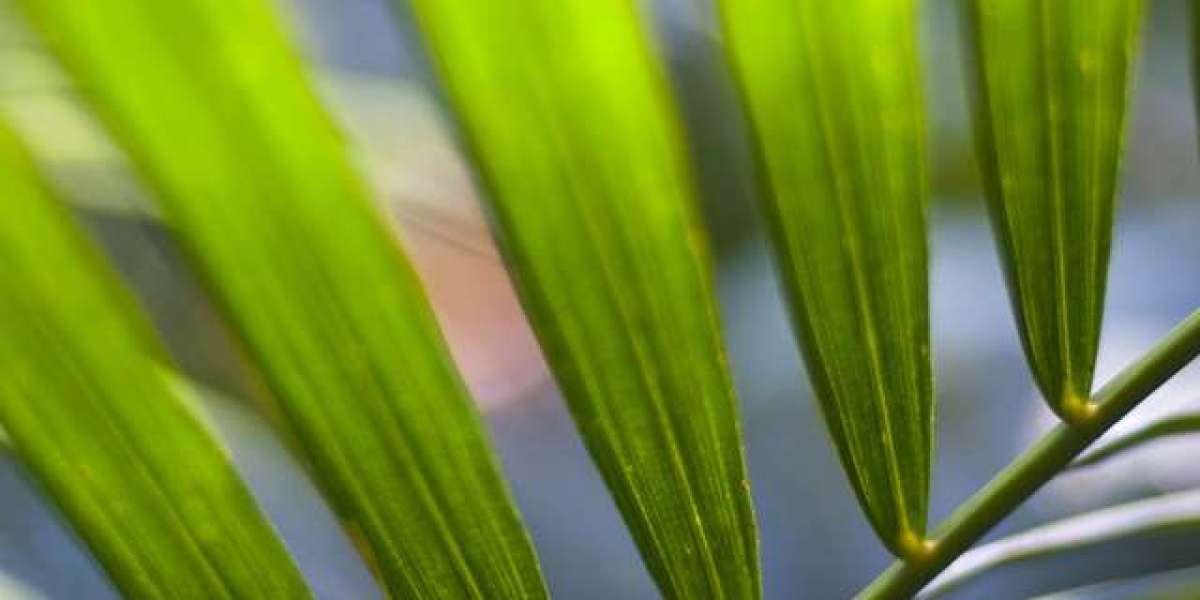 SGR ASX: Bruce Mathieson tabled $550m bid for Star Gold Coast and was rejected