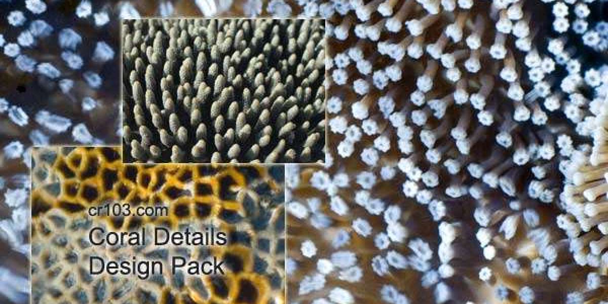 Zoome Casino Login Australia: Get Casino no Deposit Bonus