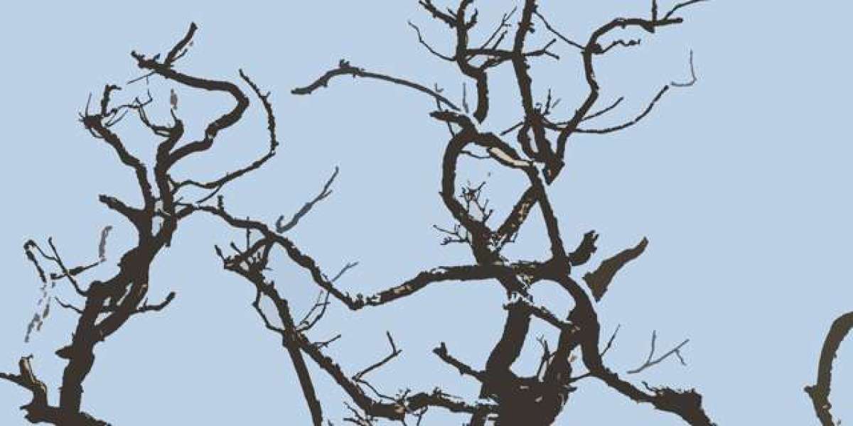 Best Online Casinos in Australia 2025