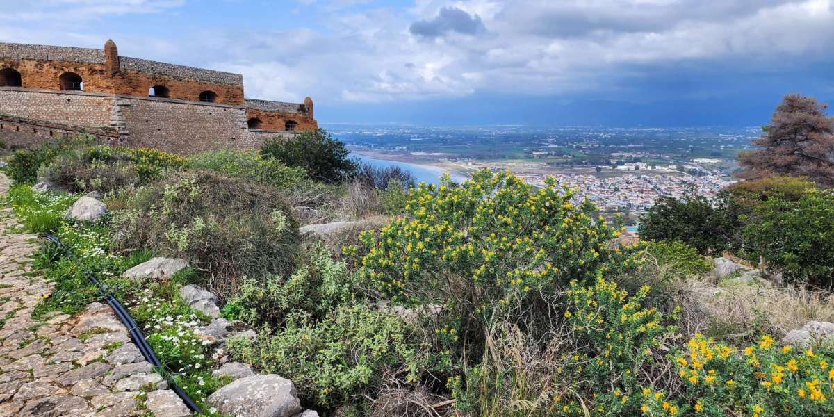 High Rental Yields: Profitable Villas in Greece for Sale in Prime Locations